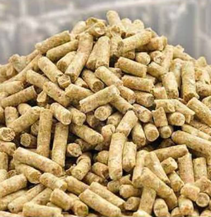 Cattle Feeds